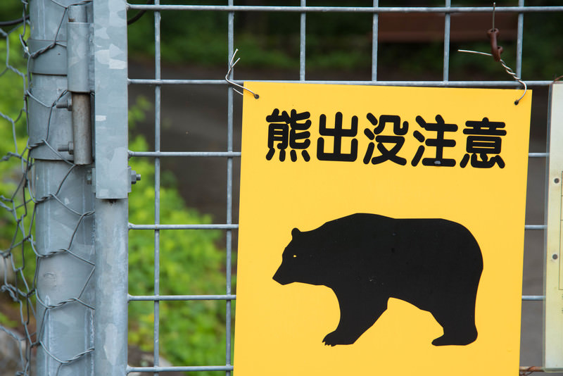 みなかみ町で熊被害が相次ぐ理由とは?自然環境と出没の背景を探る