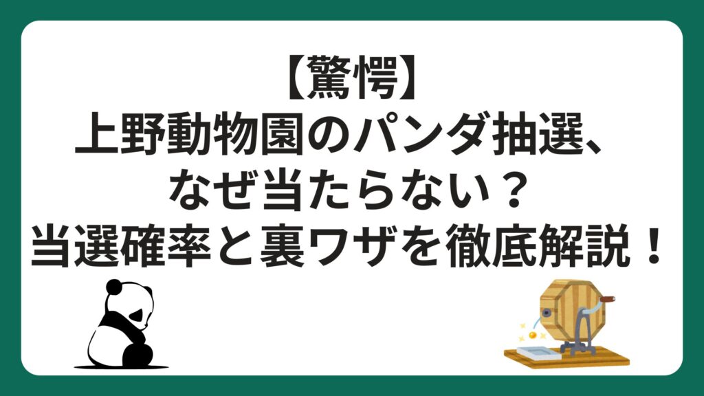【驚愕】上野動物園のパンダ抽選、なぜ当たらない？当選確率と裏ワザを徹底解説！