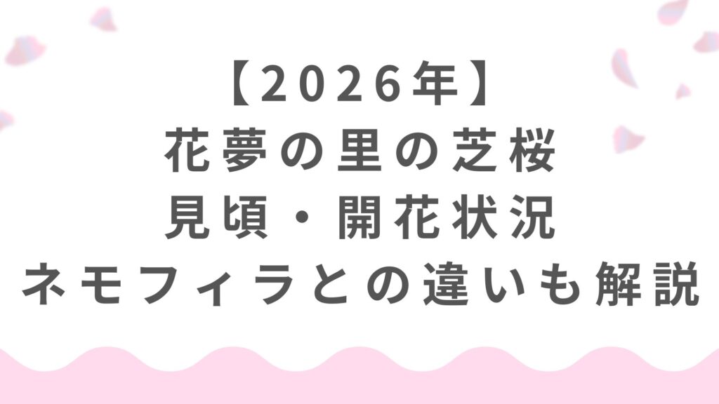 【2026年】花夢の里の芝桜｜見頃・開花状況・ネモフィラとの違いも解説