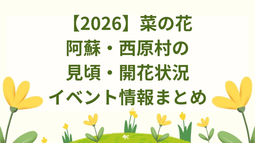 【2026】菜の花｜阿蘇・西原村の見頃・開花状況・イベント情報まとめ