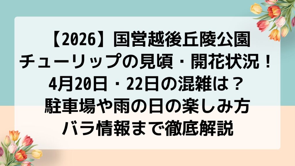 【2026】国営越後丘陵公園チューリップの見頃・開花状況！4月20日・22日の混雑は？駐車場や雨の日の楽しみ方・バラ情報まで徹底解説