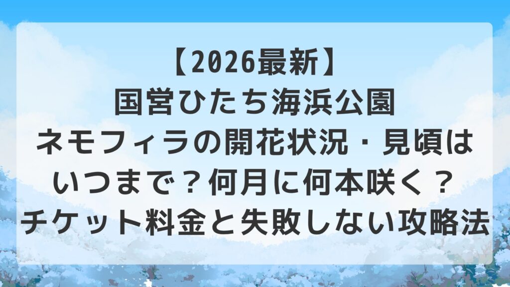 【2026最新】国営ひたち海浜公園ネモフィラの開花状況・見頃はいつまで？何月に何本咲く？チケット料金と失敗しない攻略法