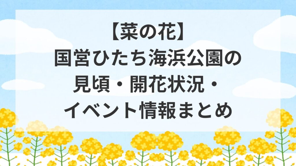 【菜の花】国営ひたち海浜公園の見頃・開花状況・イベント情報まとめ
