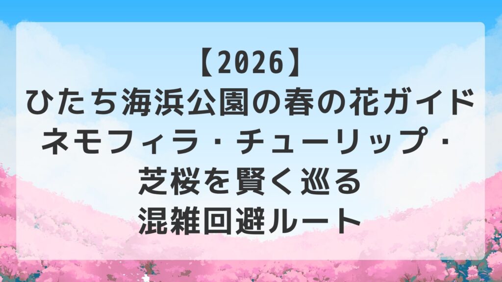 【2026】ひたち海浜公園の春の花ガイド｜ネモフィラ・チューリップ・芝桜を賢く巡る混雑回避ルート