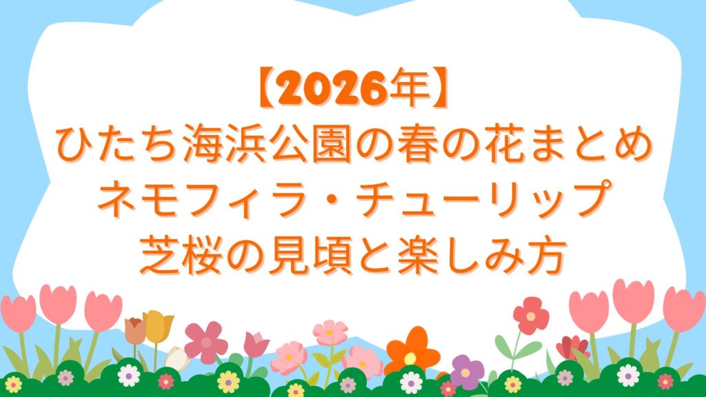 【2026年】ひたち海浜公園の春の花まとめ｜ネモフィラ・チューリップ・芝桜の見頃と楽しみ方