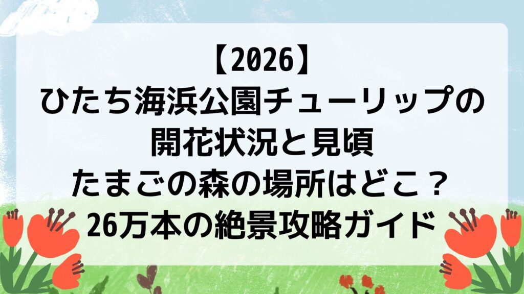 【2026】ひたち海浜公園チューリップの開花状況と見頃｜たまごの森の場所はどこ？26万本の絶景攻略ガイド