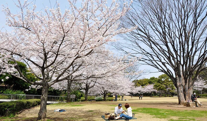 ② 北の丸公園|静かに過ごせる木陰のベンチ