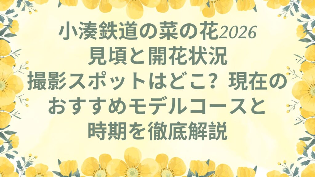 小湊鉄道の菜の花2026｜見頃と開花状況・撮影スポットはどこ？現在のおすすめモデルコースと時期を徹底解説