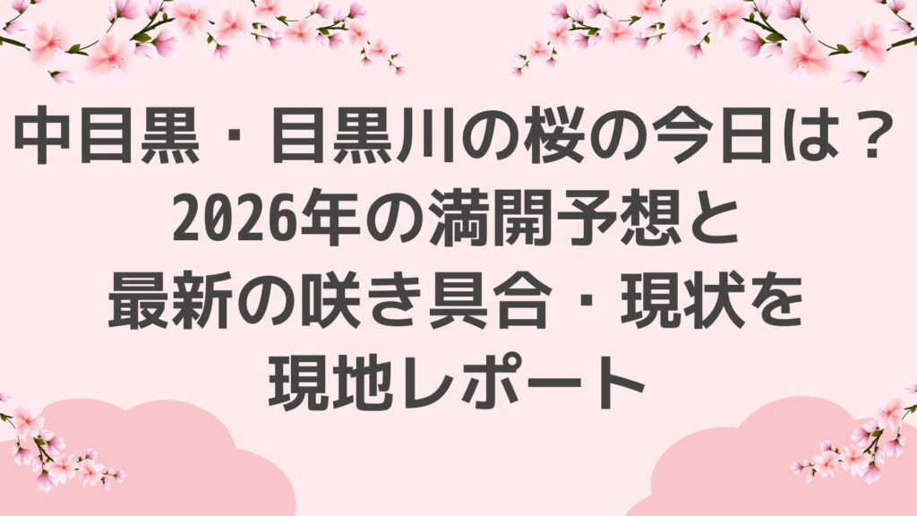 中目黒・目黒川の桜の今日は？2026年の満開予想と最新の咲き具合・現状を現地レポート