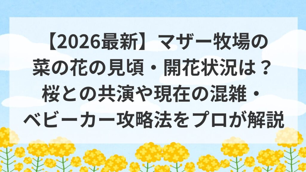 【2026最新】マザー牧場の菜の花の見頃・開花状況は？桜との共演や現在の混雑・ベビーカー攻略法をプロが解説