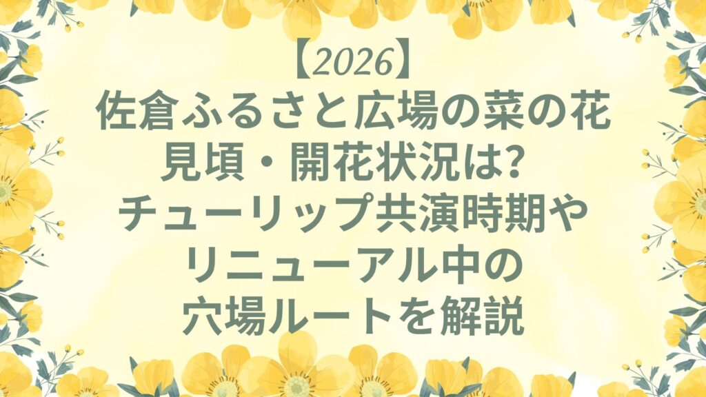 【2026】佐倉ふるさと広場の菜の花｜見頃・開花状況は？チューリップ共演時期やリニューアル中の穴場ルートを解説