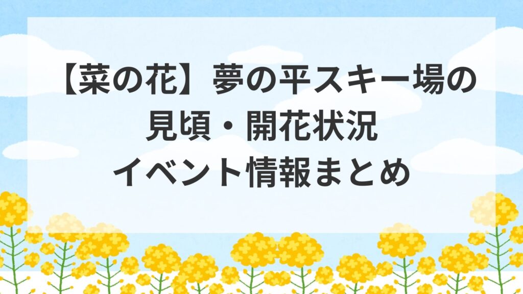 【菜の花】夢の平スキー場の見頃・開花状況・イベント情報まとめ