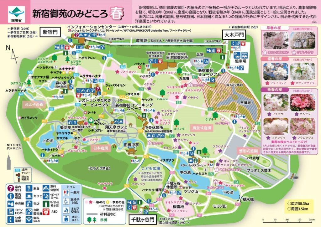 新宿御苑の桜、どこにある?アクセス前に知っておきたい園内マップと桜エリア