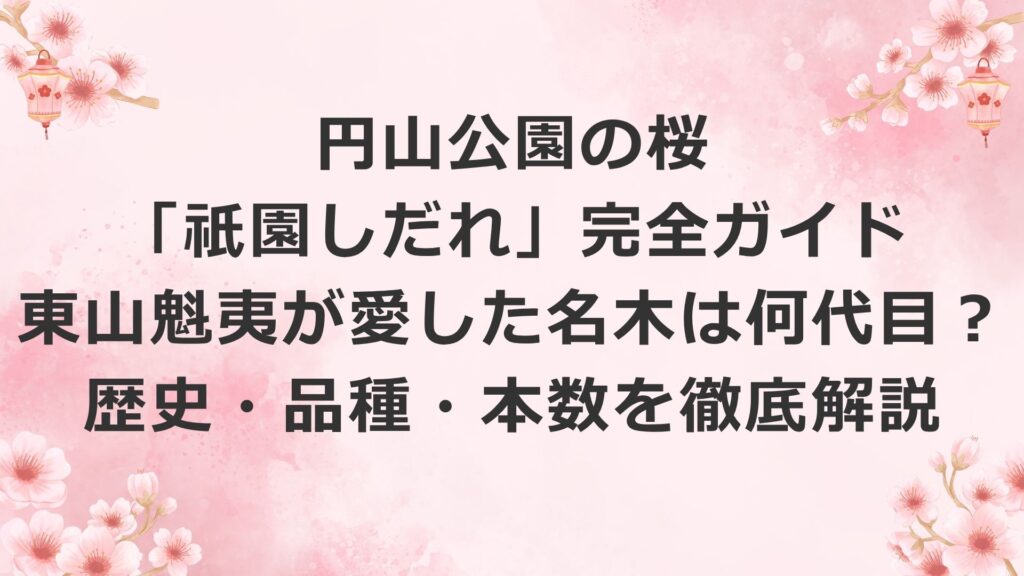 円山公園の桜「祇園しだれ」完全ガイド｜東山魁夷が愛した名木は何代目？歴史・品種・本数を徹底解説