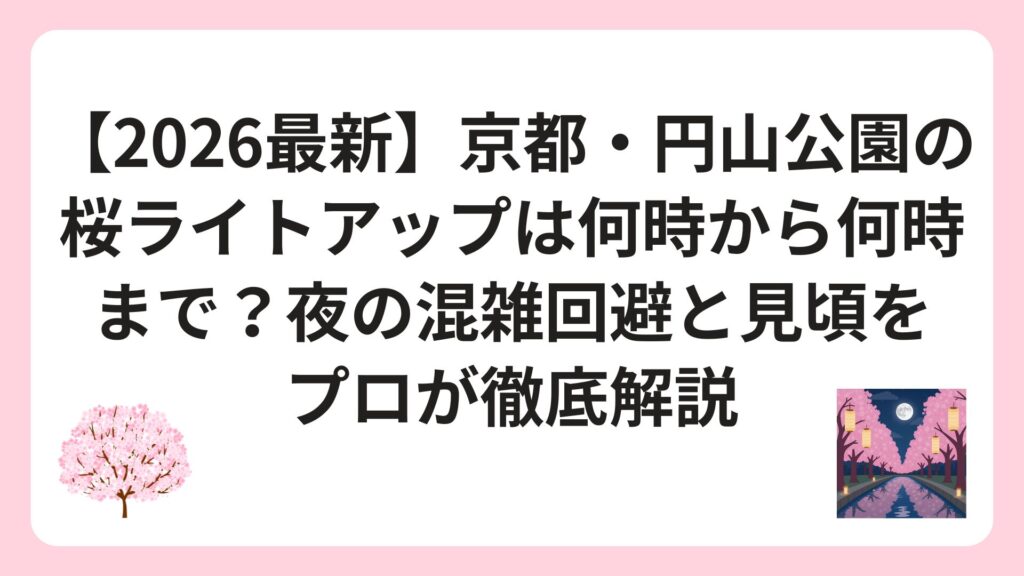 【2026最新】京都・円山公園の桜ライトアップは何時から何時まで？夜の混雑回避と見頃をプロが徹底解説