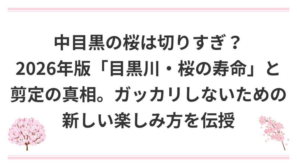 中目黒の桜は切りすぎ？2026年版「目黒川・桜の寿命」と剪定の真相。ガッカリしないための新しい楽しみ方を伝授