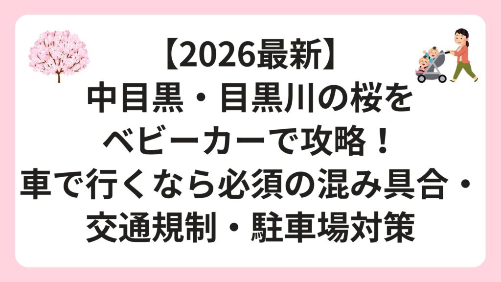 【2026最新】中目黒・目黒川の桜をベビーカーで攻略！混み具合・交通規制・駐車場の穴場をプロが徹底解説