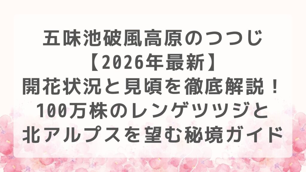 五味池破風高原のつつじ【2026年最新】開花状況と見頃を徹底解説！100万株のレンゲツツジと北アルプスを望む秘境ガイド