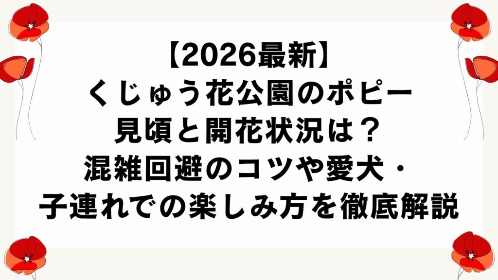 【2026最新】くじゅう花公園のポピー見頃と開花状況は？混雑回避のコツや愛犬・子連れでの楽しみ方を徹底解説