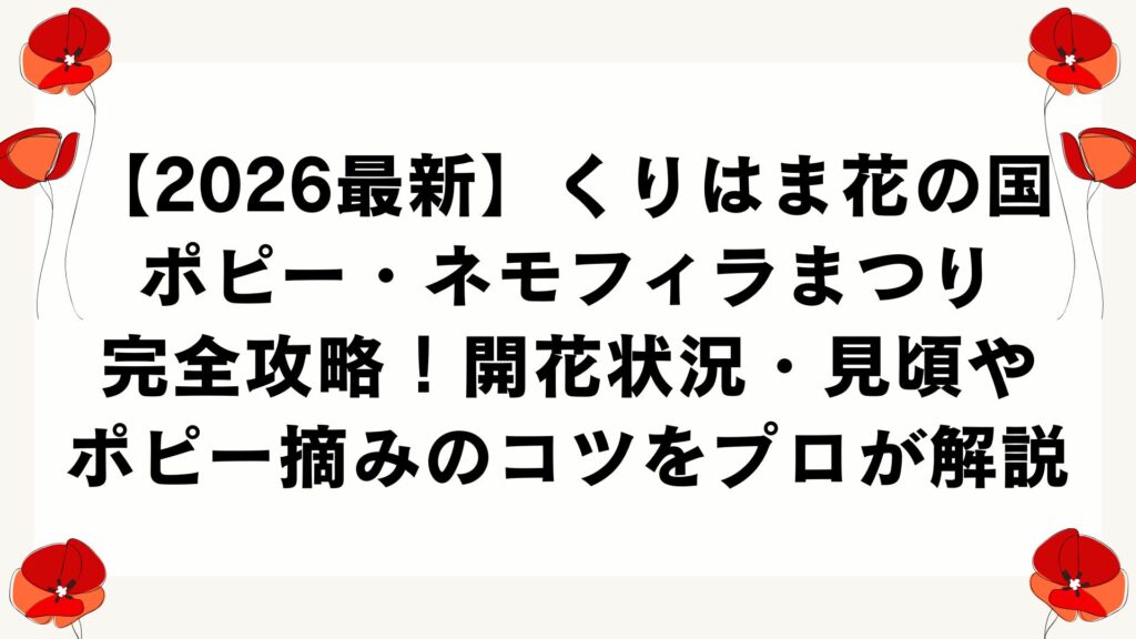 【2026最新】くりはま花の国ポピー・ネモフィラまつり完全攻略！開花状況・見頃やポピー摘みのコツをプロが解説