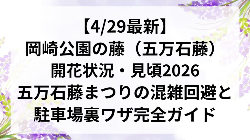 【4/29最新】岡崎公園の藤（五万石藤）開花状況・見頃2026｜五万石藤まつりの混雑回避と駐車場裏ワザ完全ガイド