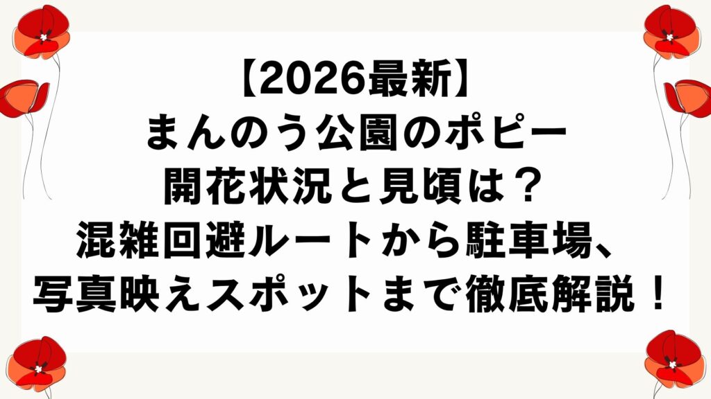 【2026最新】まんのう公園のポピー開花状況と見頃は？混雑回避ルートから駐車場、写真映えスポットまで徹底解説！