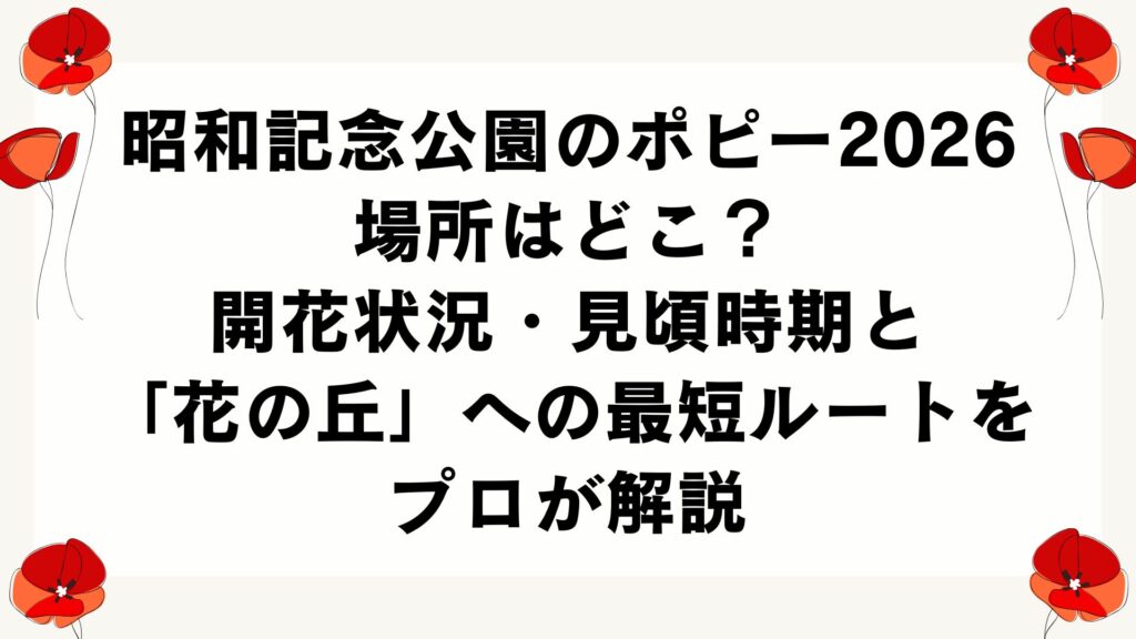 昭和記念公園のポピー2026｜場所はどこ？開花状況・見頃時期と「花の丘」への最短ルートをプロが解説