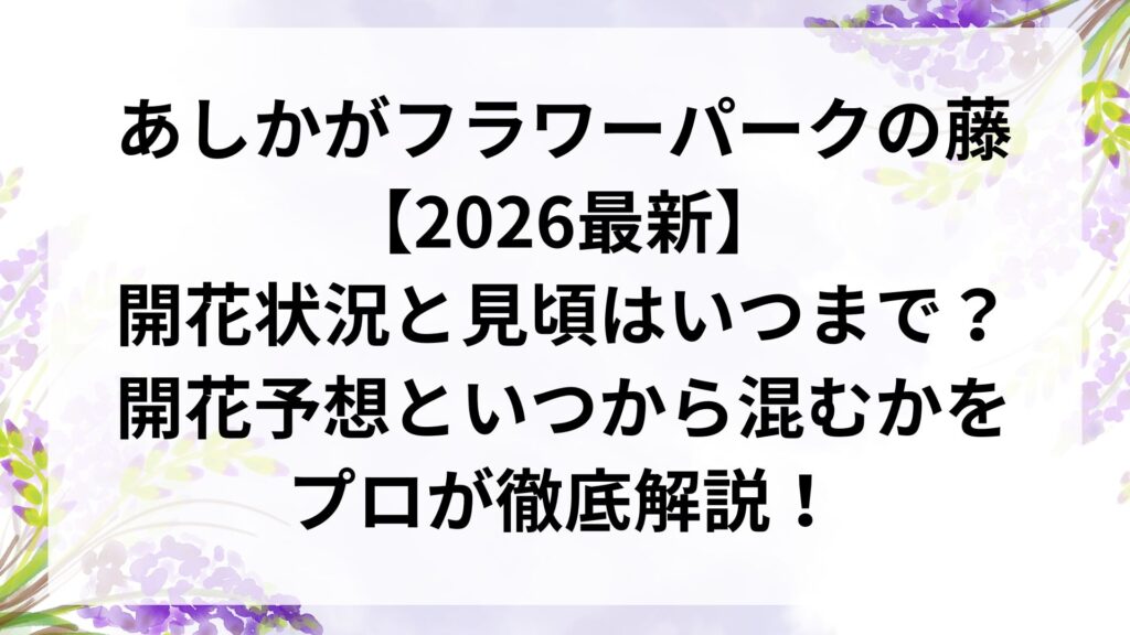 あしかがフラワーパークの藤【2026最新】開花状況と見頃はいつまで？開花予想といつから混むかをプロが徹底解説！