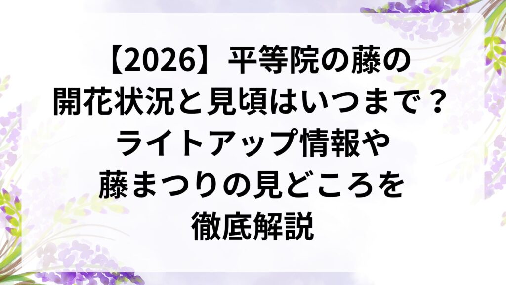 【2026】平等院の藤の開花状況と見頃はいつまで？ライトアップ情報や藤まつりの見どころを徹底解説
