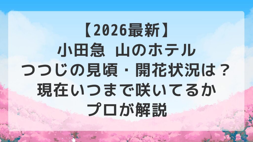【2026最新】小田急 山のホテル つつじの見頃・開花状況は？現在いつまで咲いてるかプロが解説