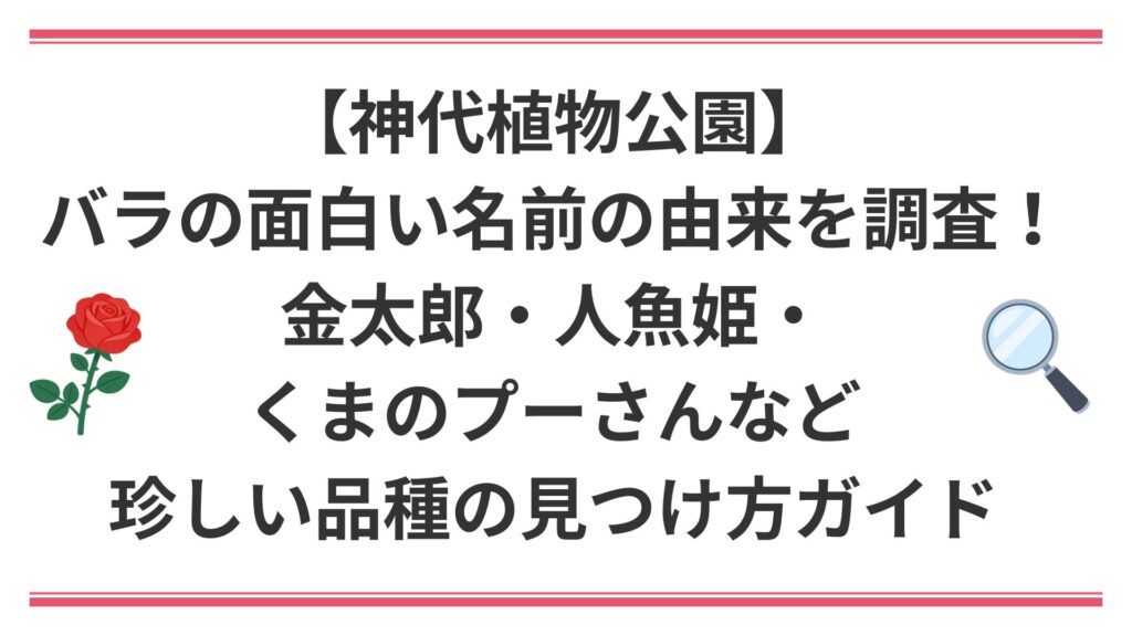 【神代植物公園】バラの面白い名前の由来を調査！金太郎・人魚姫・くまのプーさんなど珍しい品種の見つけ方ガイド