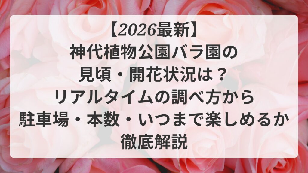 【2026最新】神代植物公園バラ園の見頃・開花状況は？リアルタイムの調べ方から駐車場・本数・いつまで楽しめるか徹底解説