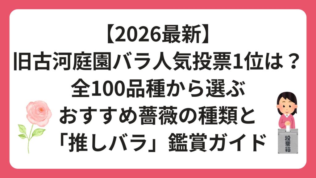 【2026最新】旧古河庭園バラ人気投票1位は？全100品種から選ぶおすすめ薔薇の種類と「推しバラ」鑑賞ガイド