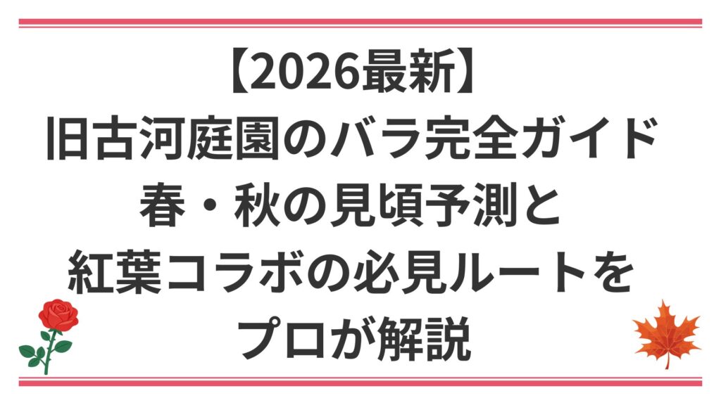 【2026最新】旧古河庭園のバラ完全ガイド｜春・秋の見頃予測と紅葉コラボの必見ルートをプロが解説