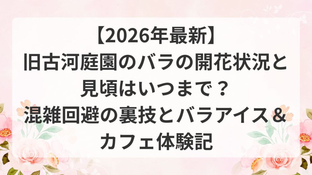 【2026年最新】旧古河庭園のバラの開花状況と見頃はいつまで？混雑回避の裏技とバラアイス＆カフェ体験記