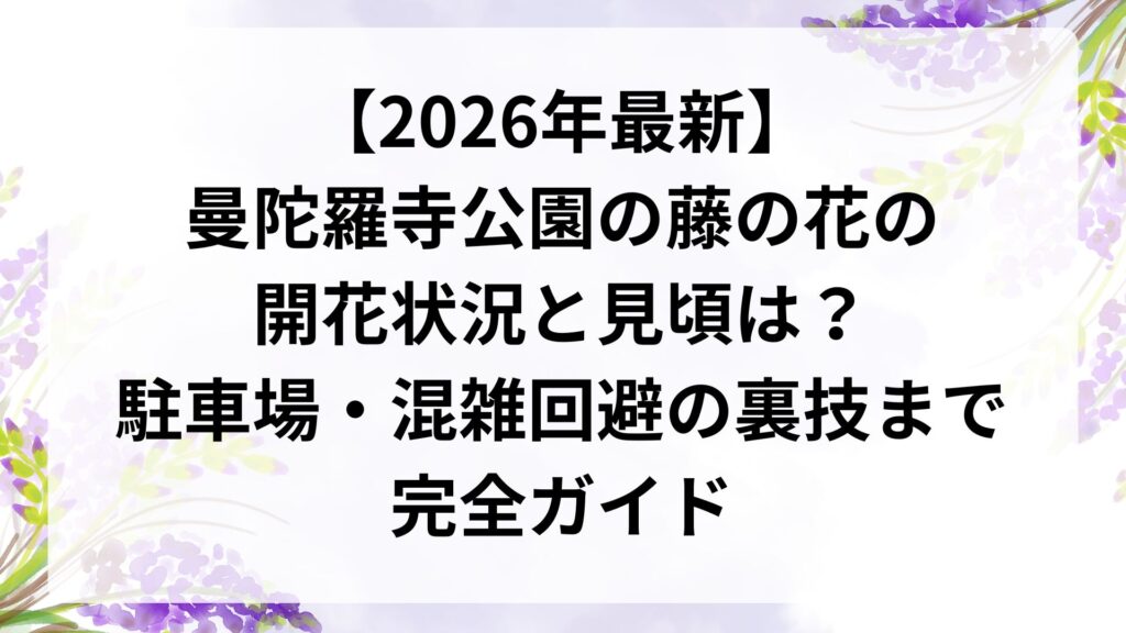 【2026年最新】曼陀羅寺公園の藤の花の開花状況と見頃は？駐車場・混雑回避の裏技まで完全ガイド