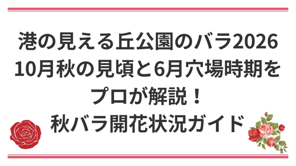 港の見える丘公園のバラ2026｜10月秋の見頃と6月穴場時期をプロが解説！秋バラ開花状況ガイド