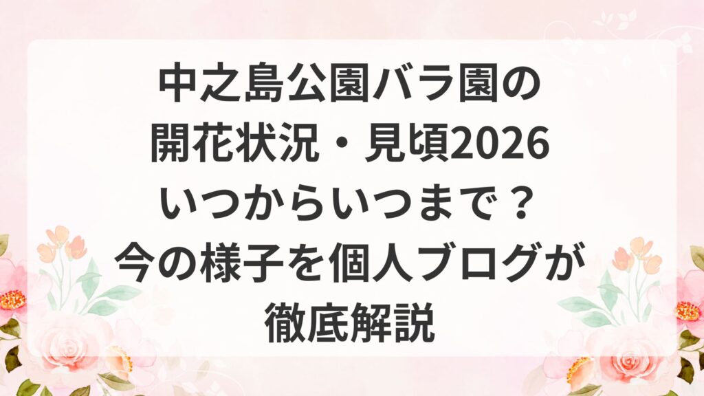 中之島公園バラ園の開花状況・見頃2026｜いつからいつまで？今の様子を個人ブログが徹底解説