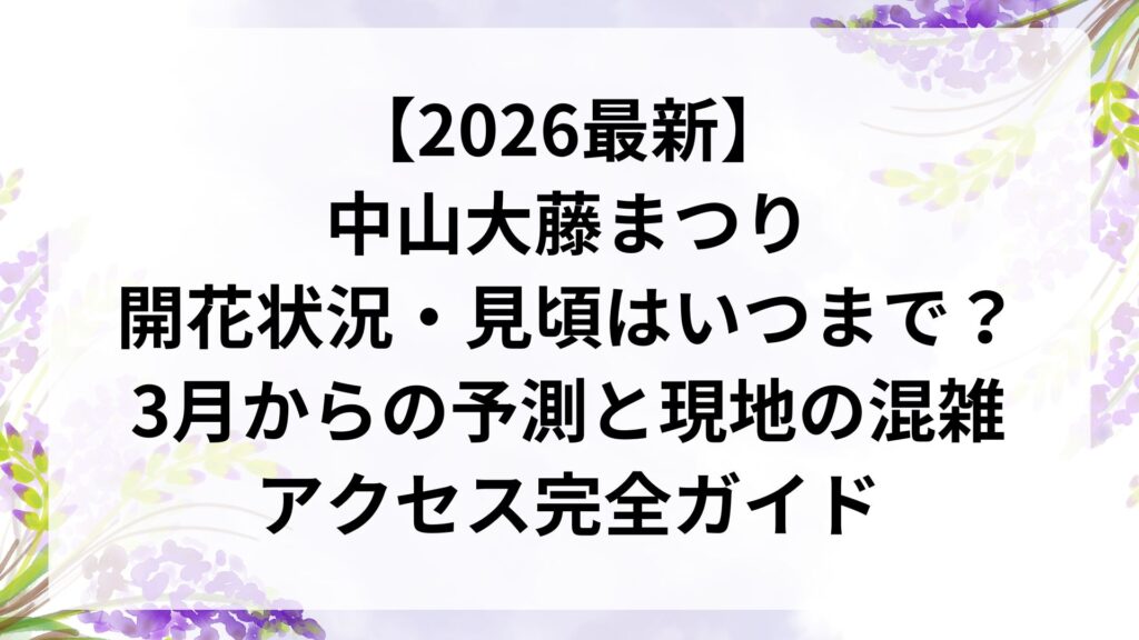 【2026最新】中山大藤まつり開花状況・見頃はいつまで？3月からの予測と現地の混雑・アクセス完全ガイド