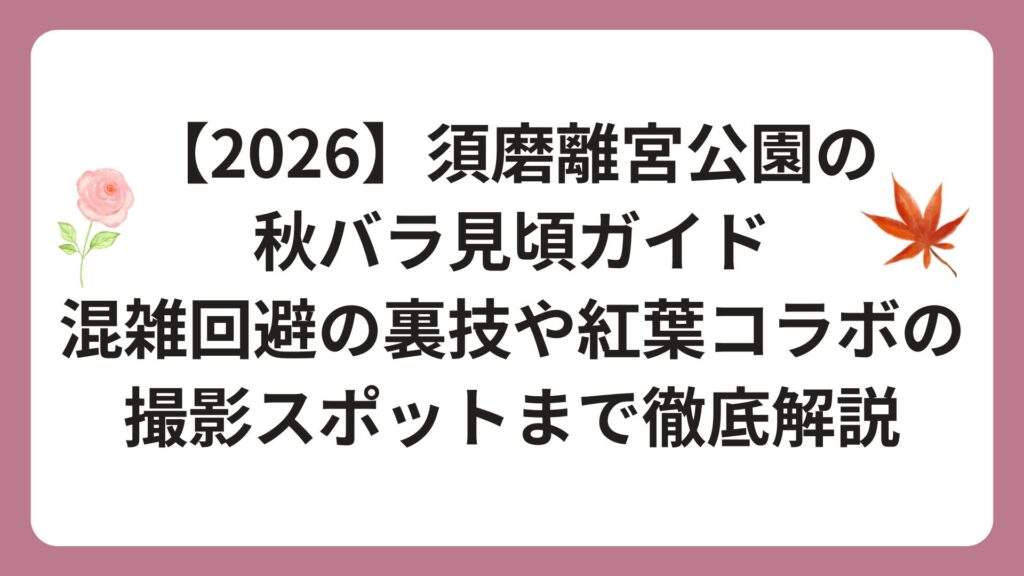 【2026】須磨離宮公園の秋バラ見頃ガイド｜混雑回避の裏技や紅葉コラボの撮影スポットまで徹底解説