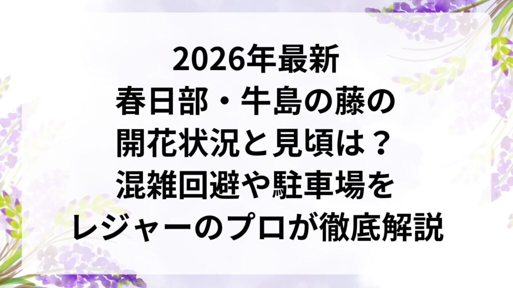 2026年最新｜春日部・牛島の藤の開花状況と見頃は？混雑回避や駐車場をレジャーのプロが徹底解説