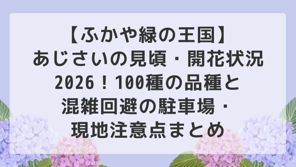 【ふかや緑の王国】あじさいの見頃・開花状況2026！100種の品種と混雑回避の駐車場・現地注意点まとめ