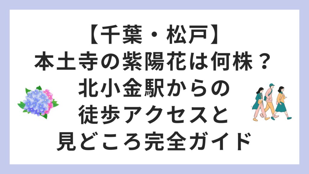 【千葉・松戸】本土寺の紫陽花は何株？北小金駅からの徒歩アクセスと見どころ完全ガイド