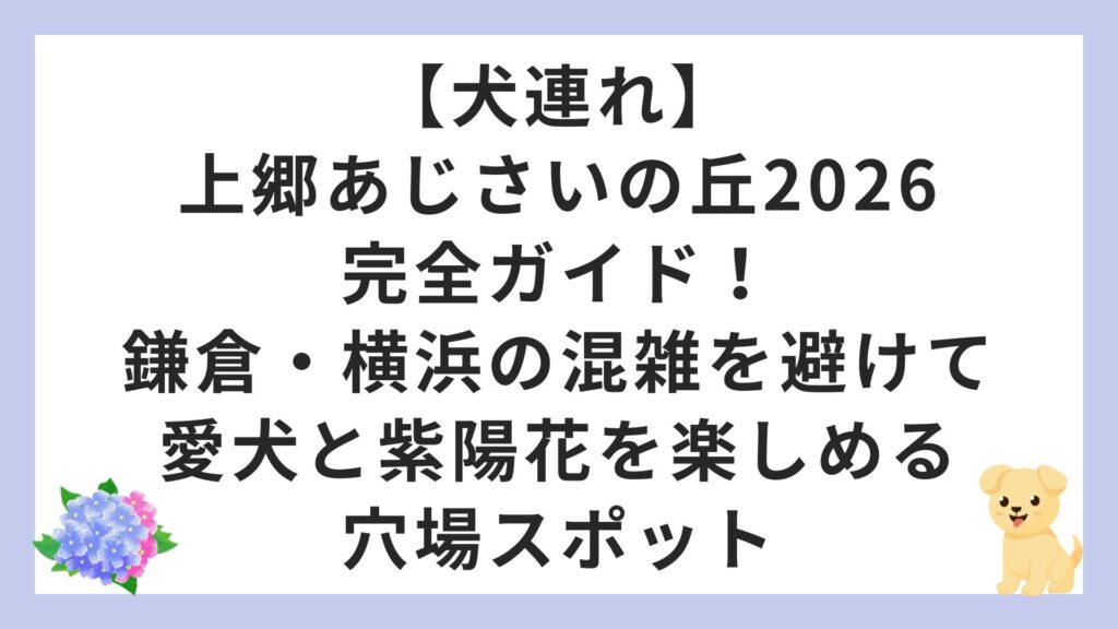 【犬連れ】上郷あじさいの丘2026完全ガイド！鎌倉・横浜の混雑を避けて愛犬と紫陽花を楽しめる穴場スポット