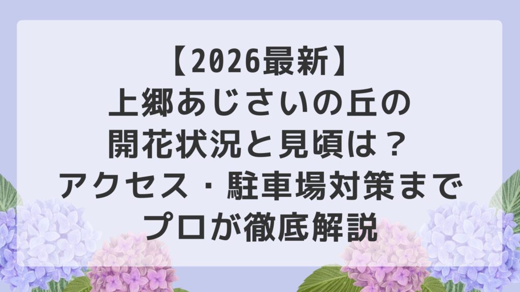 【2026最新】上郷あじさいの丘の開花状況と見頃は？アクセス・駐車場対策までプロが徹底解説
