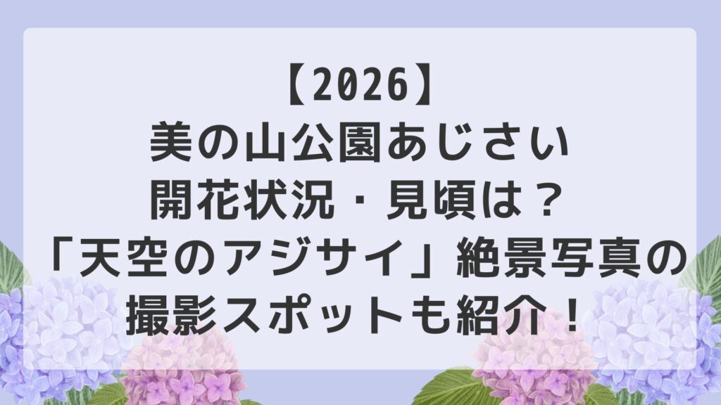 【2026】美の山公園あじさい開花状況・見頃は？「天空のアジサイ」絶景写真の撮影スポットも紹介！