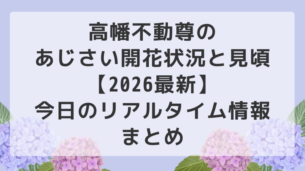 高幡不動尊のあじさい開花状況と見頃【2026最新】今日のリアルタイム情報まとめ